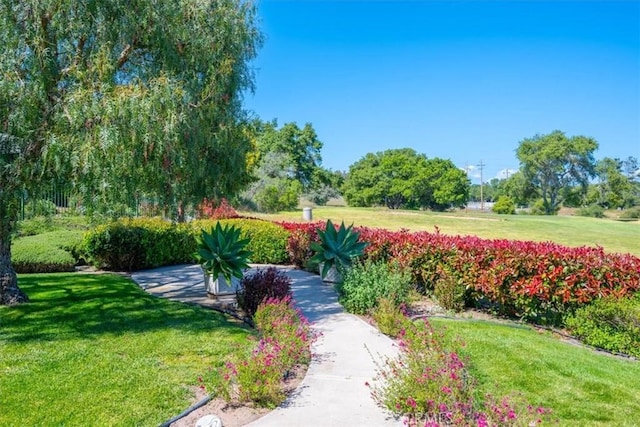 surrounding community with a lawn