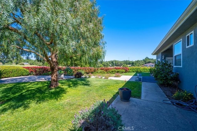 view of yard featuring a patio