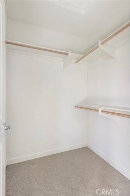 walk in closet featuring carpet floors