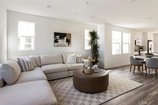 living room with baseboards, a healthy amount of sunlight, and wood finished floors