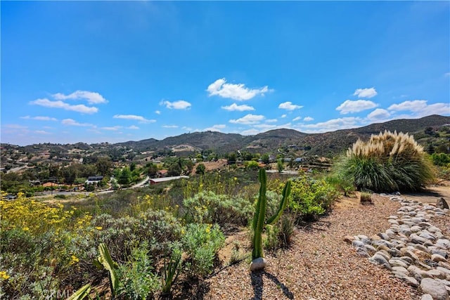 21475 Ridgedale Dr, Lake Mathews, CA 92570 - photo 9