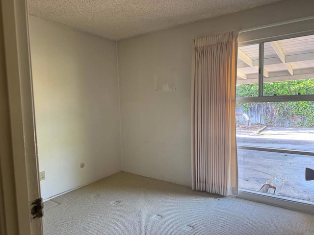 spare room with carpet floors and a textured ceiling