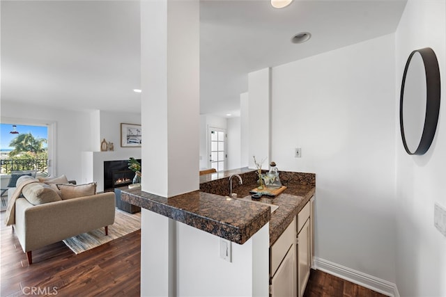 interior space featuring a glass covered fireplace, baseboards, dark wood-style floors, recessed lighting, and a sink