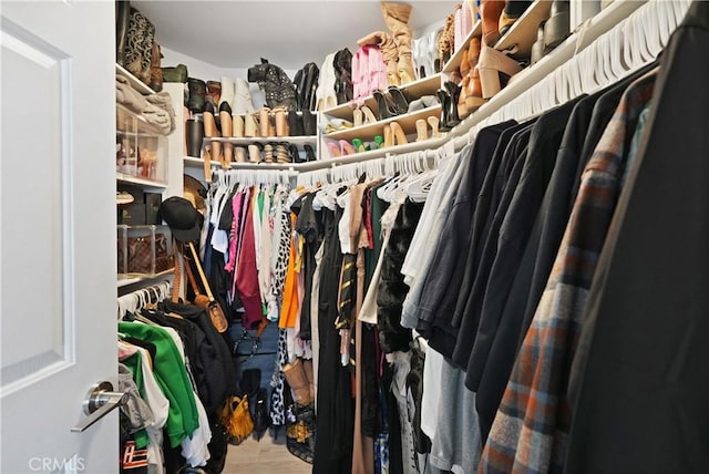 spacious closet with wood finished floors