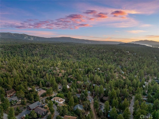 drone / aerial view featuring a mountain view and a forest view