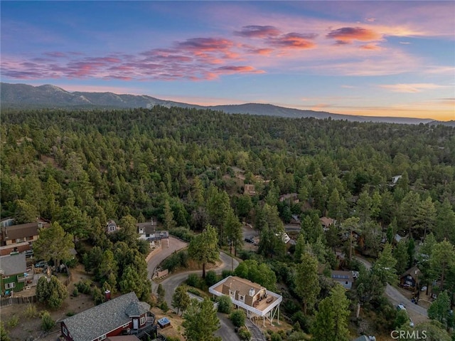 drone / aerial view featuring a forest view and a mountain view