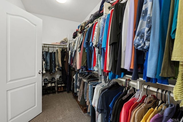 spacious closet featuring carpet