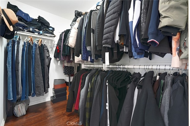 walk in closet featuring wood finished floors