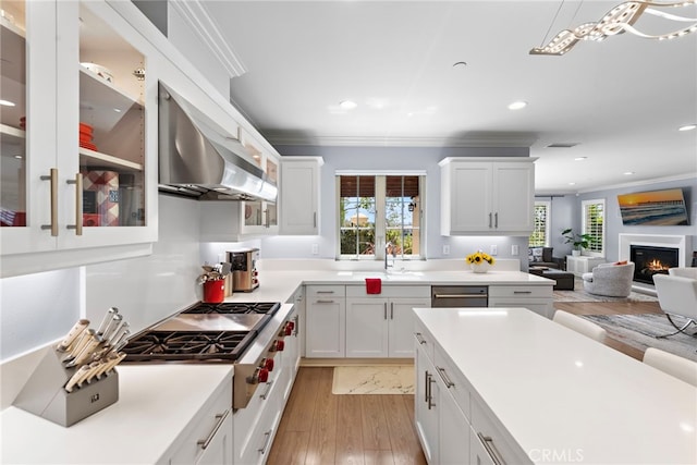207 Via Galicia, San Clemente, CA 92672 - kitchen with ornamental molding, a sink, light wood-style floors, stainless steel appliances, and wall chimney range hood
