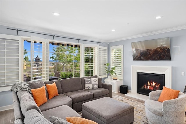 207 Via Galicia, San Clemente, CA 92672 - living room featuring ornamental molding, wood finished floors, recessed lighting, and a glass covered fireplace