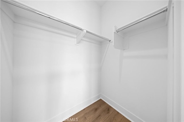 walk in closet featuring wood finished floors