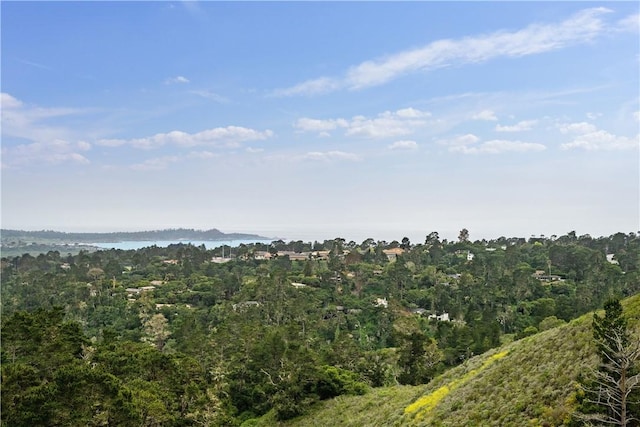 view of landscape featuring a forest view and a water view