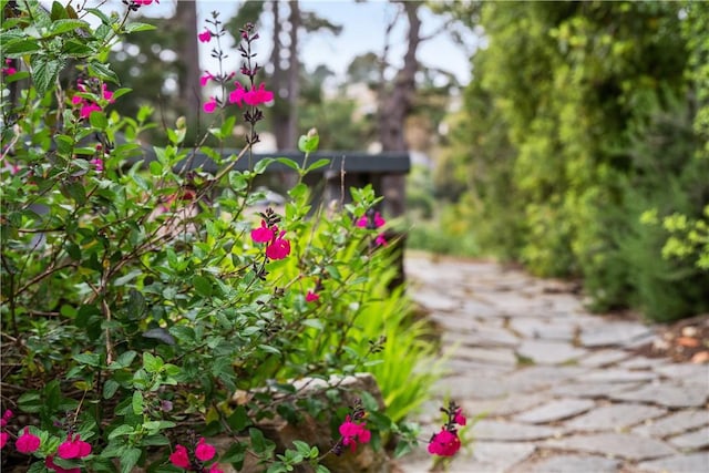 24940 Outlook Dr, Carmel, CA 93923 - exterior view