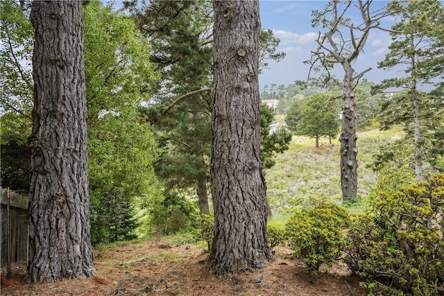 view of nature with a wooded view