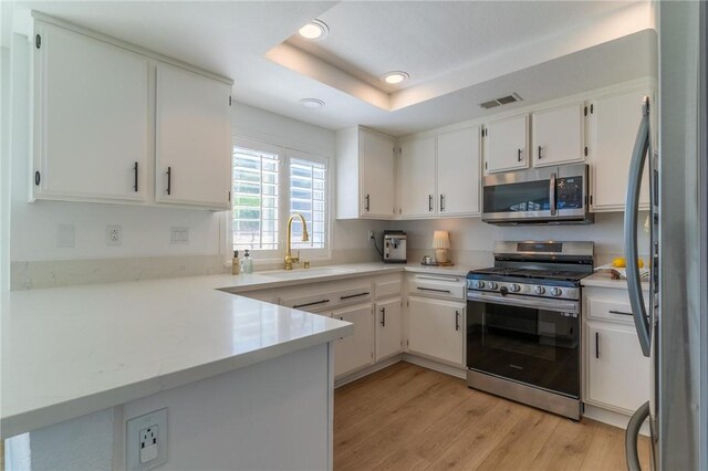 kitchen featuring a sink, light wood-style flooring, stainless steel appliances, a tray ceiling, and visible vents