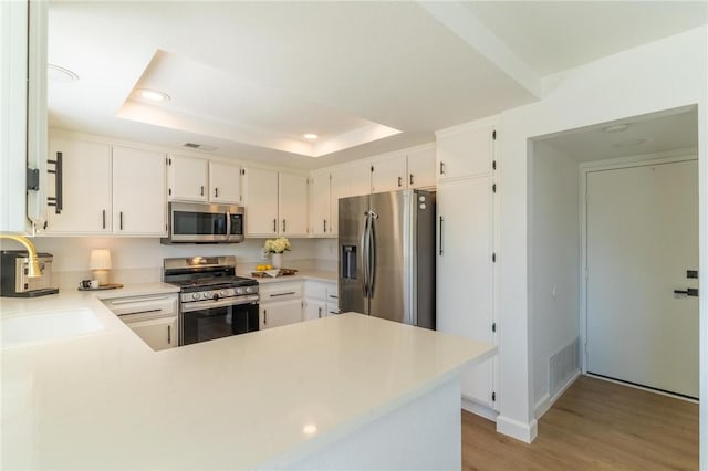 26928 Eagle Run St, Corona, CA 92883 - kitchen with appliances with stainless steel finishes, a tray ceiling, light wood-style flooring, recessed lighting, and light countertops