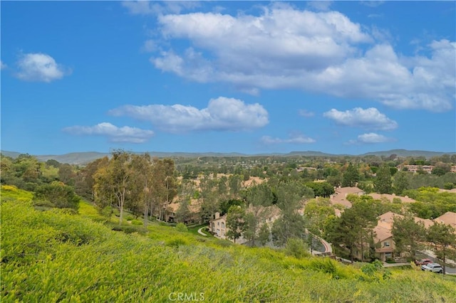 view of nature with a mountain view