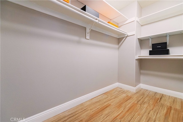 walk in closet with wood finished floors
