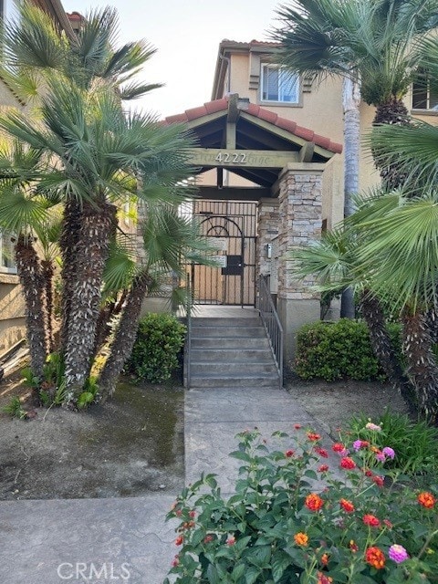 entrance to property featuring stucco siding and stone siding