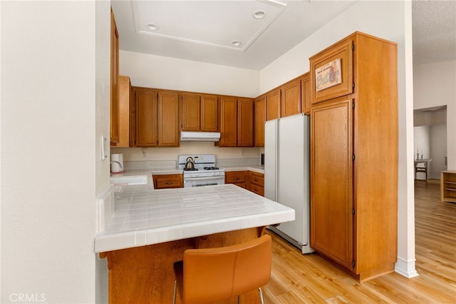 429 Indian Wells Rd, Banning, CA 92220 - kitchen with white appliances, under cabinet range hood, a sink, a peninsula, and light wood-type flooring