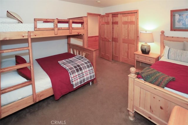 bedroom featuring carpet and a closet