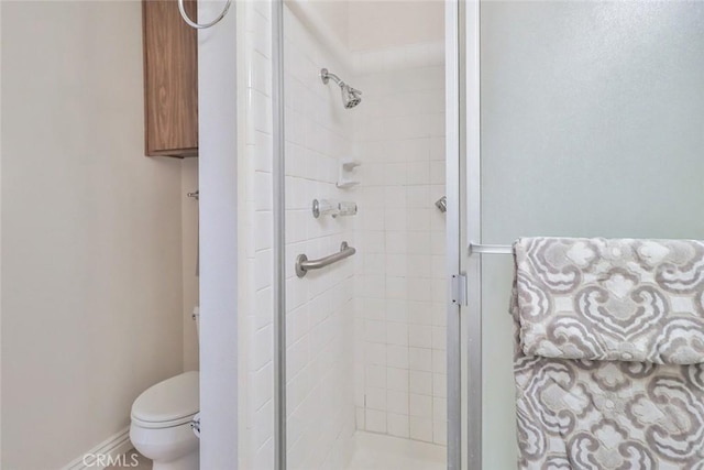 bathroom with a stall shower and toilet
