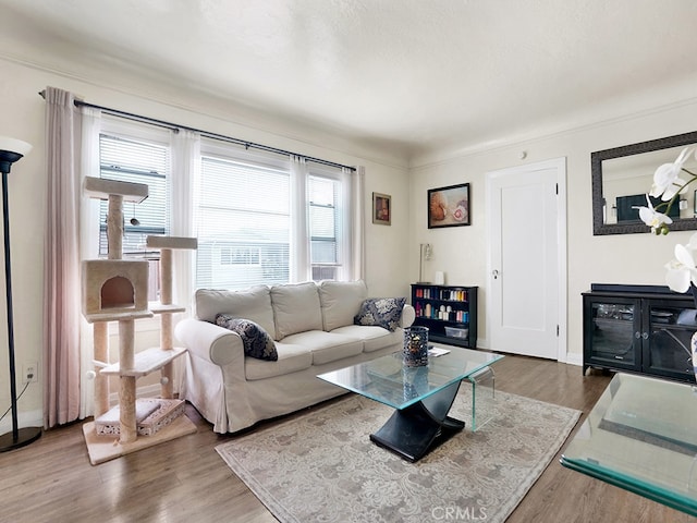 1407 Obispo Ave, Long Beach, CA 90804 - living room with wood finished floors