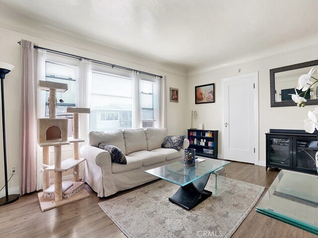1407 Obispo Ave, Long Beach, CA 90804 - living room with wood finished floors