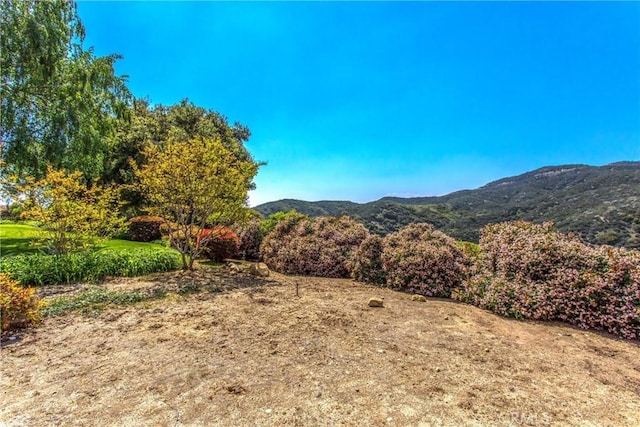 13046 Oak Crest Dr, Yucaipa, CA 92399 - photo 41