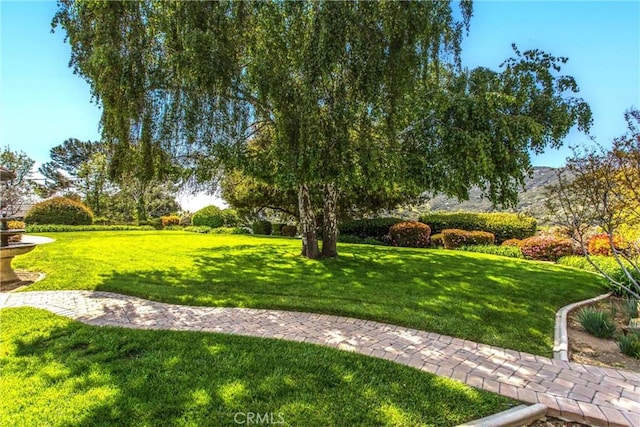 13046 Oak Crest Dr, Yucaipa, CA 92399 - photo 34