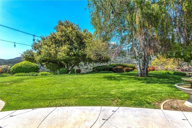 13046 Oak Crest Dr, Yucaipa, CA 92399 - photo 35