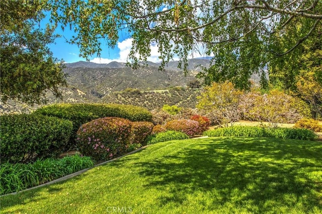 13046 Oak Crest Dr, Yucaipa, CA 92399 - photo 38
