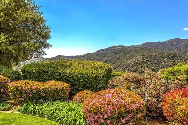 13046 Oak Crest Dr, Yucaipa, CA 92399 - photo 39