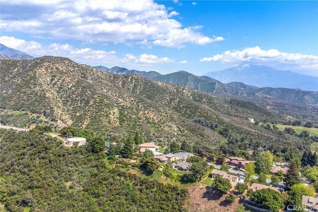 13046 Oak Crest Dr, Yucaipa, CA 92399 - photo 51