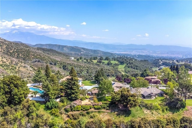 13046 Oak Crest Dr, Yucaipa, CA 92399 - photo 48