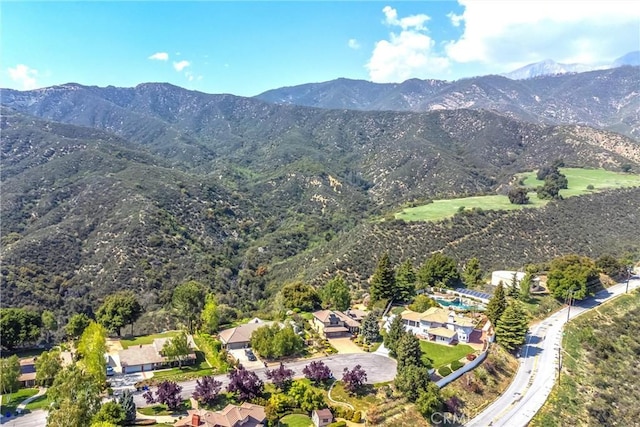 13046 Oak Crest Dr, Yucaipa, CA 92399 - photo 54