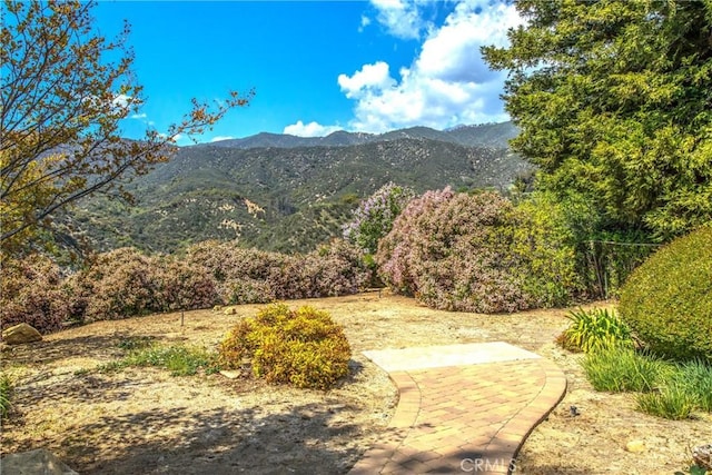 13046 Oak Crest Dr, Yucaipa, CA 92399 - photo 40