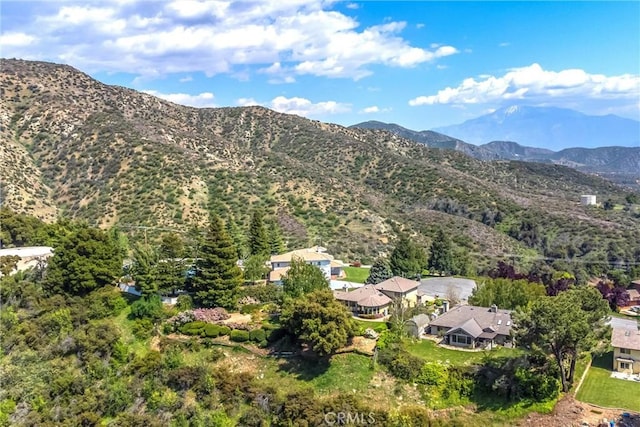 13046 Oak Crest Dr, Yucaipa, CA 92399 - photo 50