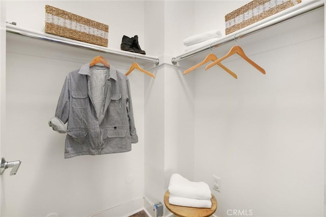 view of walk in closet