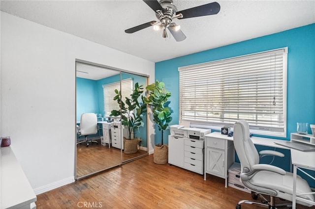 office featuring a ceiling fan, baseboards, and light wood-style flooring