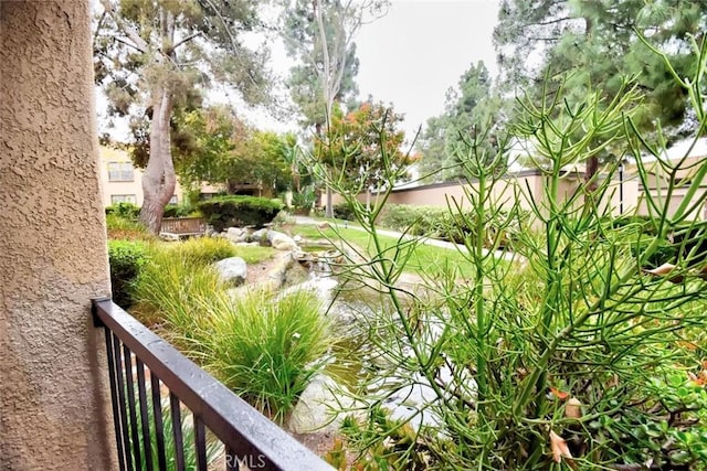 view of yard with a garden pond