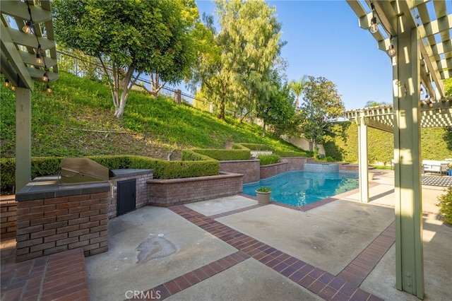 outdoor pool with an outdoor kitchen, a patio, and a pergola