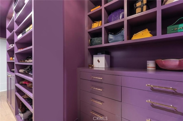 spacious closet featuring light wood-style floors