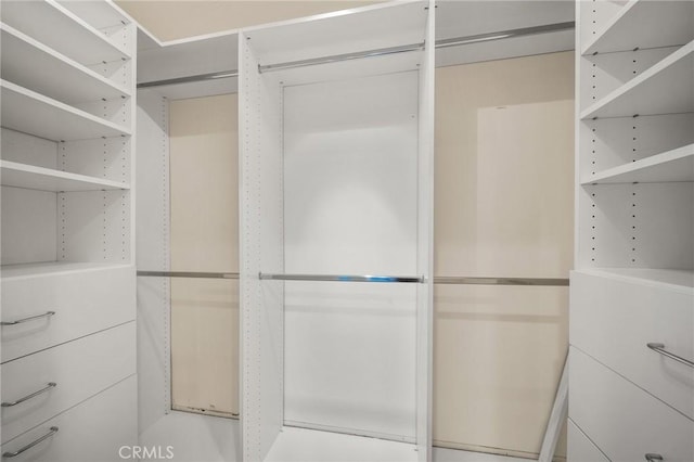 view of walk in closet