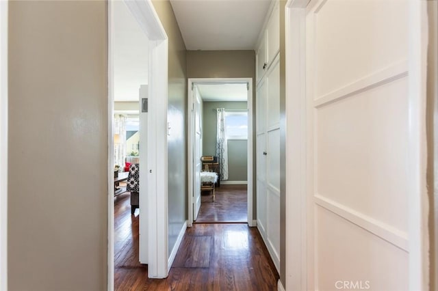 corridor featuring dark wood-style floors