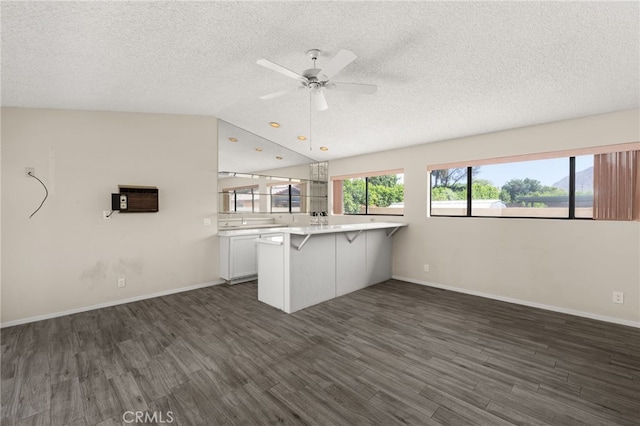 43922 Warner Trl, Palm Desert, CA 92211 - kitchen with a breakfast bar, a peninsula, dark wood finished floors, a textured ceiling, and ceiling fan