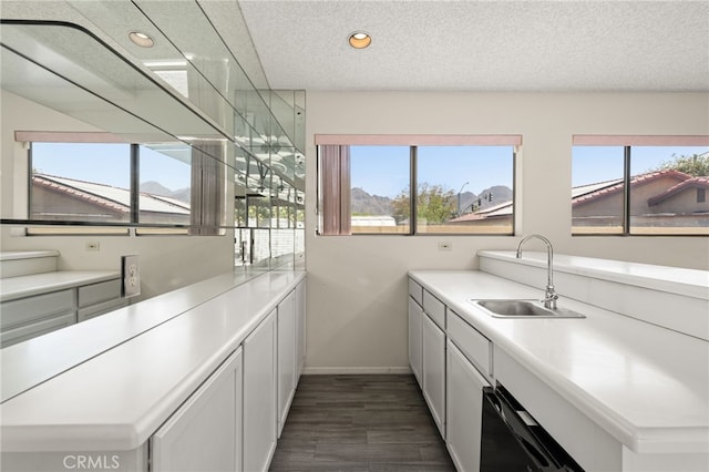 43922 Warner Trl, Palm Desert, CA 92211 - bar area with a sink, dark wood-type flooring, plenty of natural light, recessed lighting, and a textured ceiling