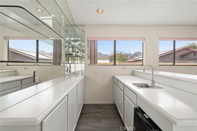 43922 Warner Trl, Palm Desert, CA 92211 - kitchen with a sink, dark wood finished floors, healthy amount of natural light, recessed lighting, and a textured ceiling