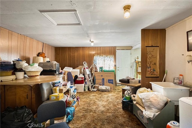 miscellaneous room with attic access, wooden walls, a sink, and carpet