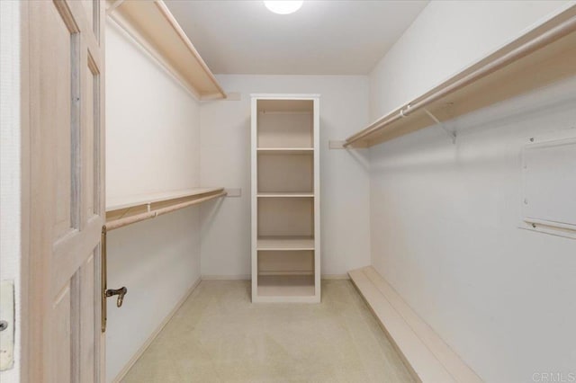 spacious closet with carpet floors